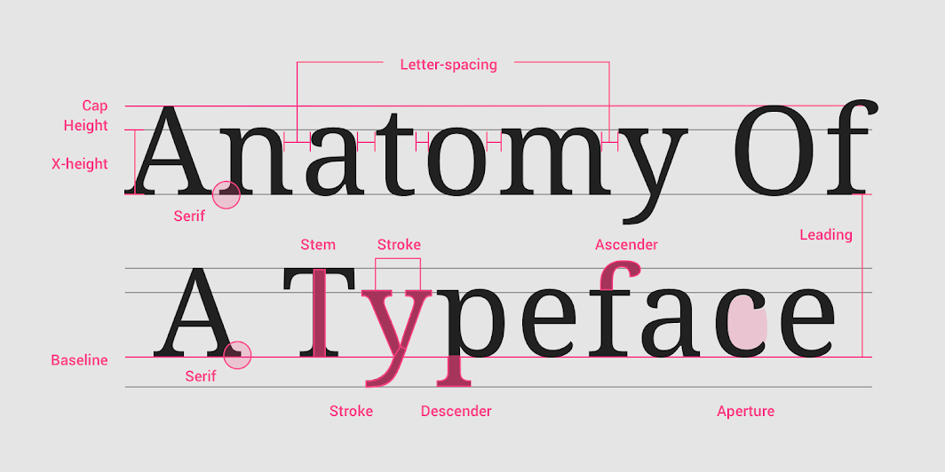 Anatomia de la Tipografia